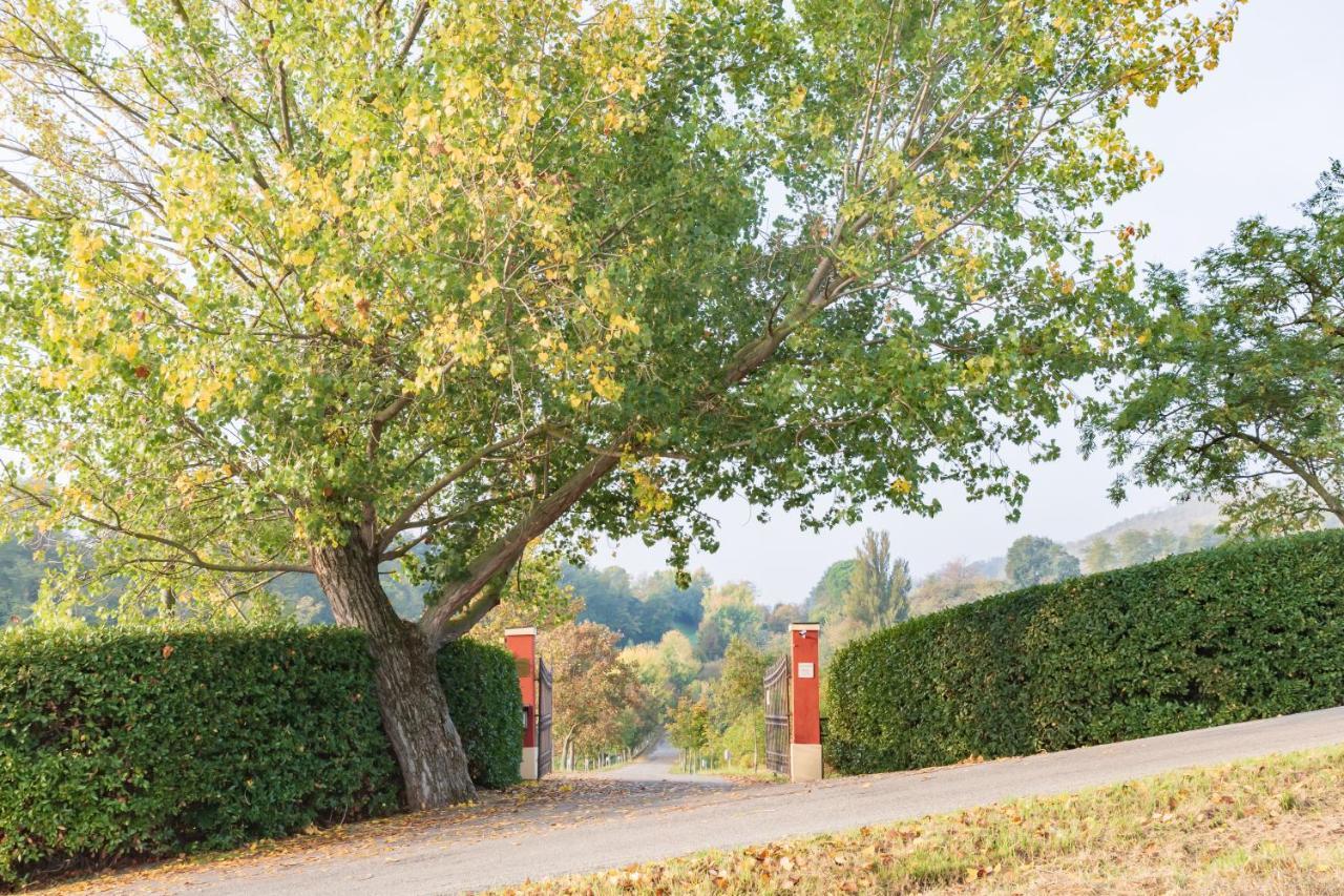 Ca Palazzo Malvasia - Bolognarooms Sasso Marconi Exteriör bild